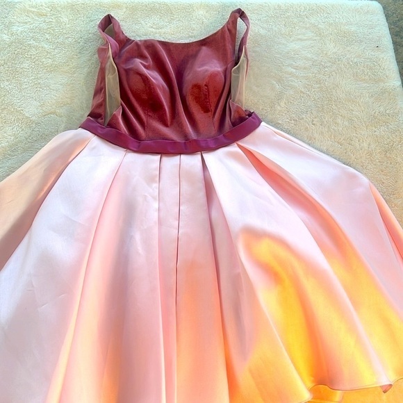 Alyce Paris Couture Sz 2 Pink Velvet & Heavy Taffeta Dress w/ Nude Net Inserts - Picture 8 of 15